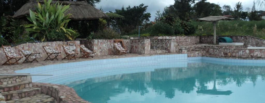 #htmlcaption-1 King Fisher